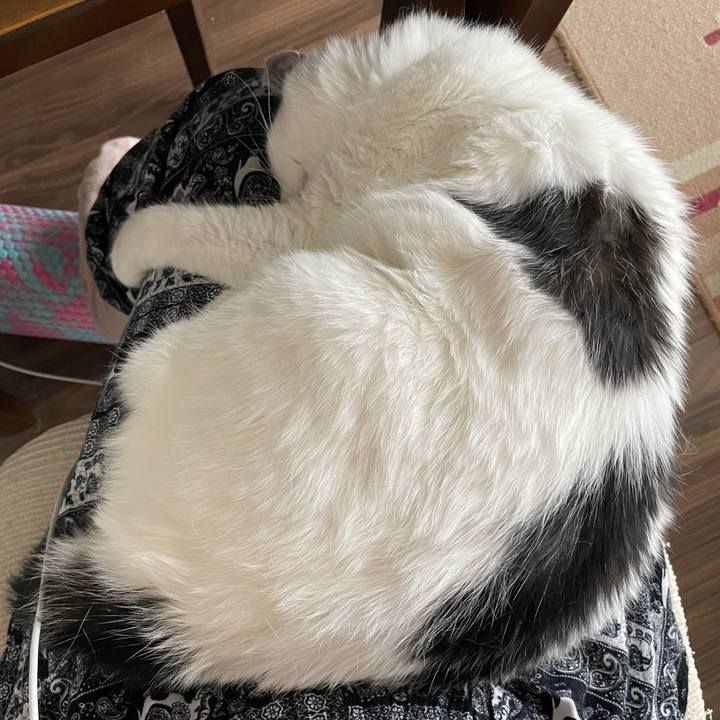 D28a33ba 2050 4259 ae1e 97a6198d8e8b 1665366918062