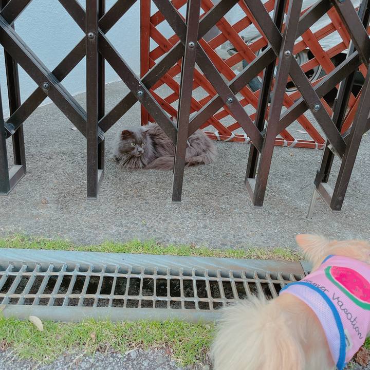 D28a8200 de6f 4897 b30e 494e0f0f8921 1655036649693