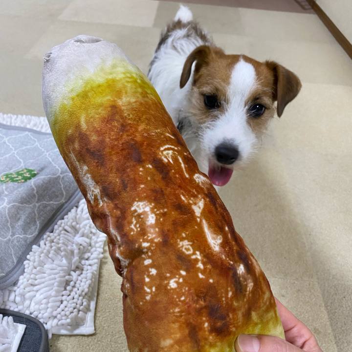 D28aa548 6a6f 45b3 907b e1e78ca7ccf1 1694788764175