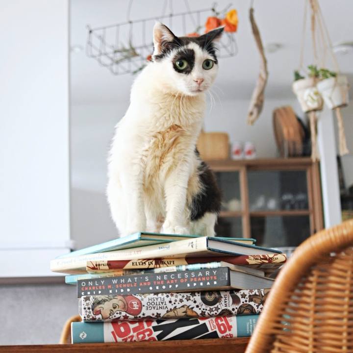 D28abf01 5bbf 44b3 8c40 86a5c34f10d0 1692177123883