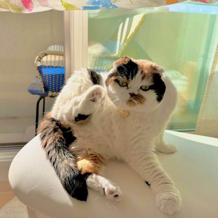 D28acb8b 5c90 40a9 a931 00fcaa2b6c6b 1698192456322