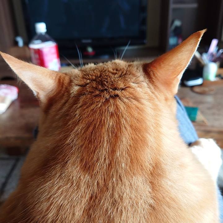 D28b5182 6e55 4d7c babc 8ea6ded67685 1586997897928