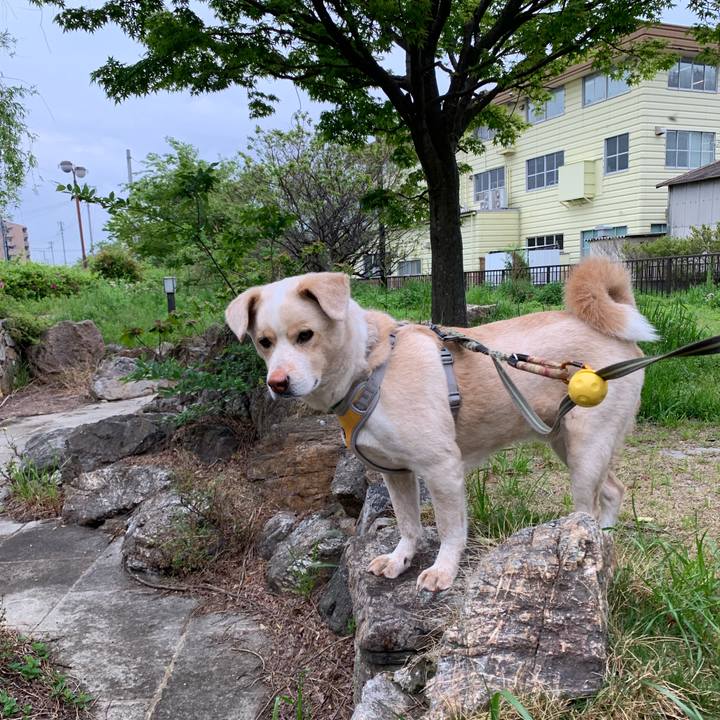 D28b7e02 a7ef 4a49 9a86 a73636bbd58e 1556062061277