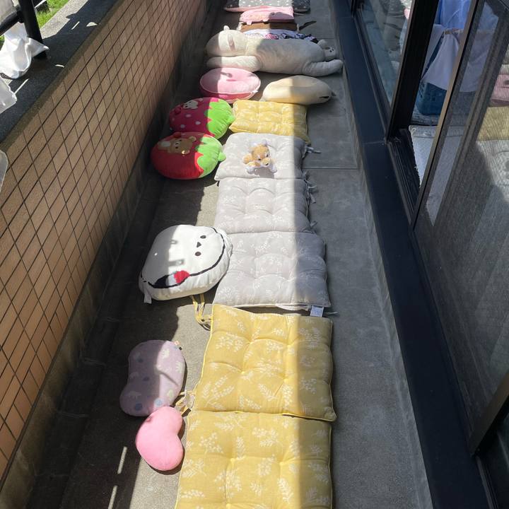 D28b8068 e4f5 4b29 bb77 dcb4a20ba0c6 1683603619366