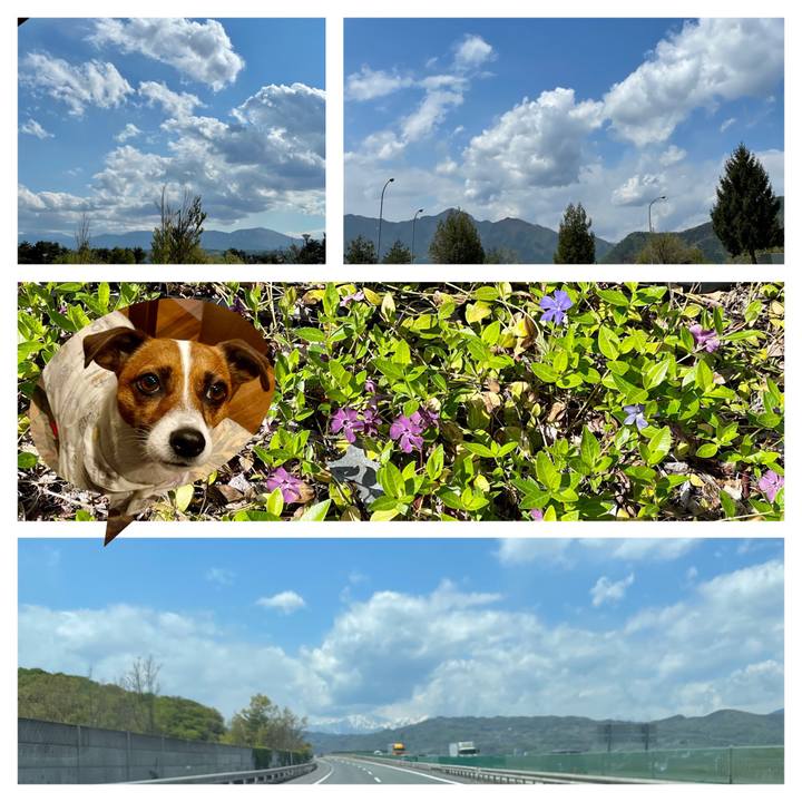 D28b95e9 5d95 4a97 8eae 1ea44e65a526 1651472583998