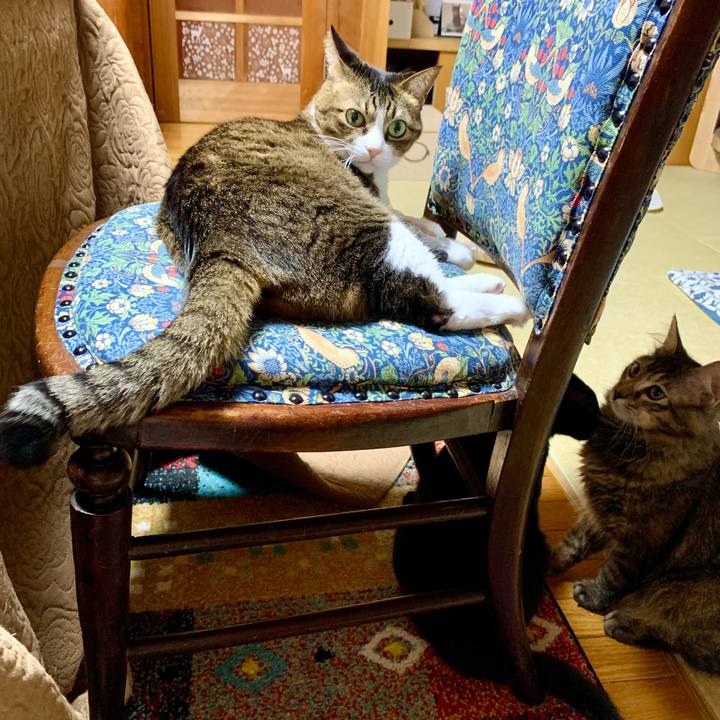 D28bc34c ff25 4ebc a291 374925ff1ded 1646922361097