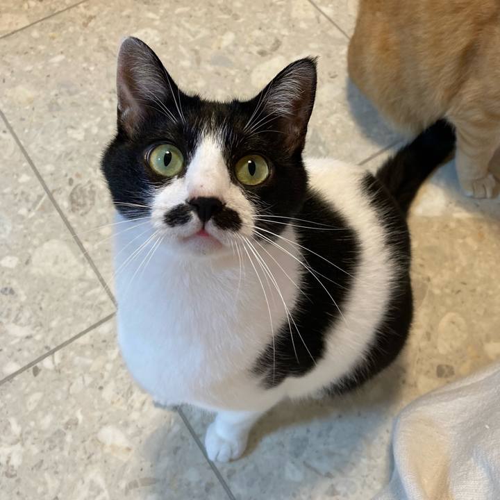 D28bc3cc 1f26 495c a232 3aefb390a563 1761395334932