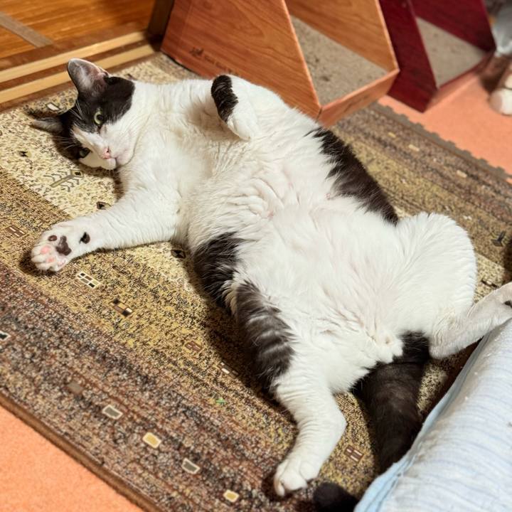 D28be942 e84e 48c0 bc2c 1dcefbf2aa28 1753402937662