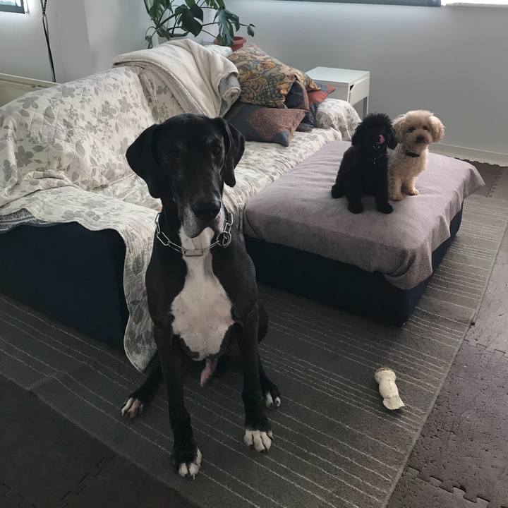 D28bfbfb dfe8 4fae a309 eb8ea9842e87 1507676703910