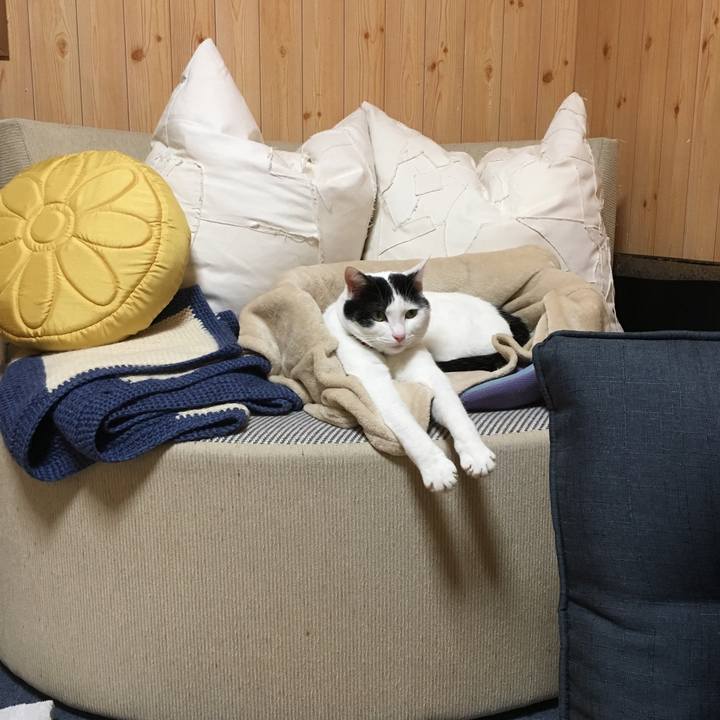 D28c0436 6e93 4d51 97ae 237f57098312 1523230973382