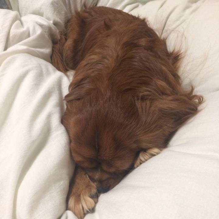 D28c0620 9e08 4308 b6da 557935762543 1606486362825