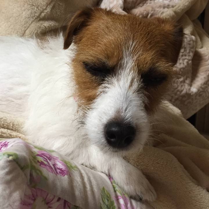 D28c9675 ad6b 4c0f 8b66 04c6b56a4d62 1509718732999