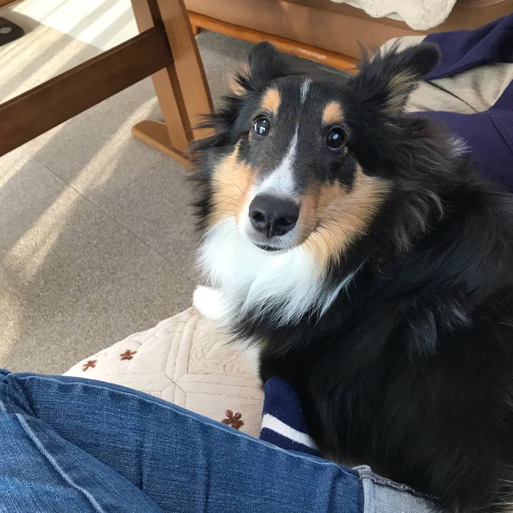 D28cbdb0 4cb2 48bb b61b c7b2daeb5ed3 1522102404516