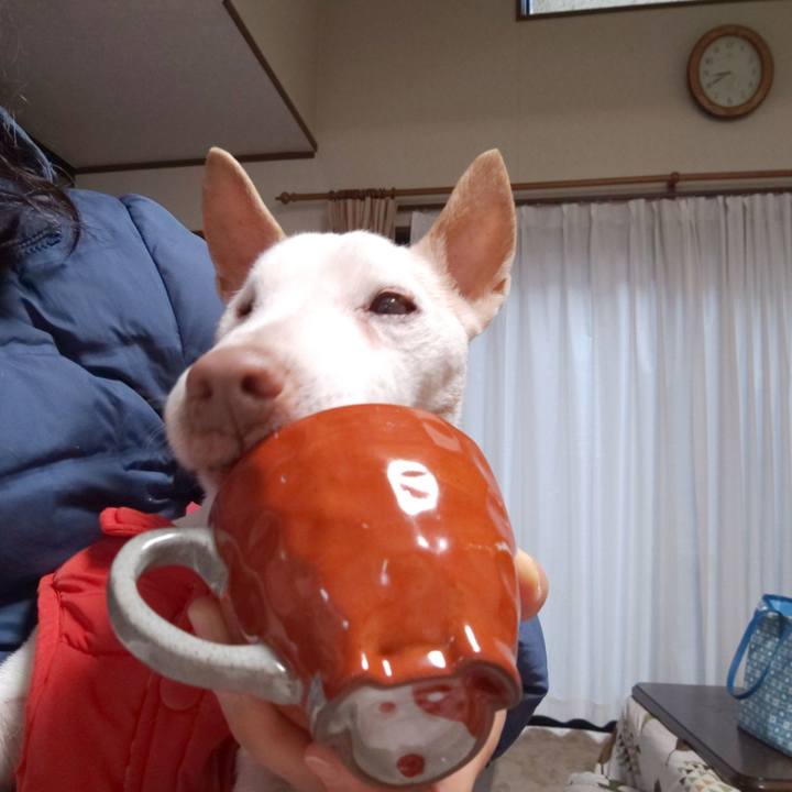 D28d07f8 c40c 42f0 8f0b 22451acc2edf 1551570122331