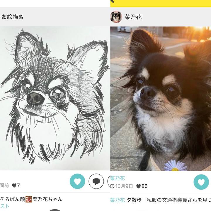 D28d8dad 4819 42ef aa5c cba1e684c5f4 1636626418985