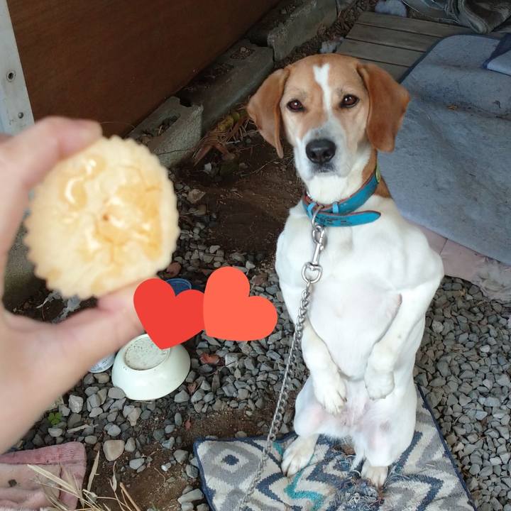 D28d971a fa9e 43db 97ed 52c3c558e79e 1613373290424