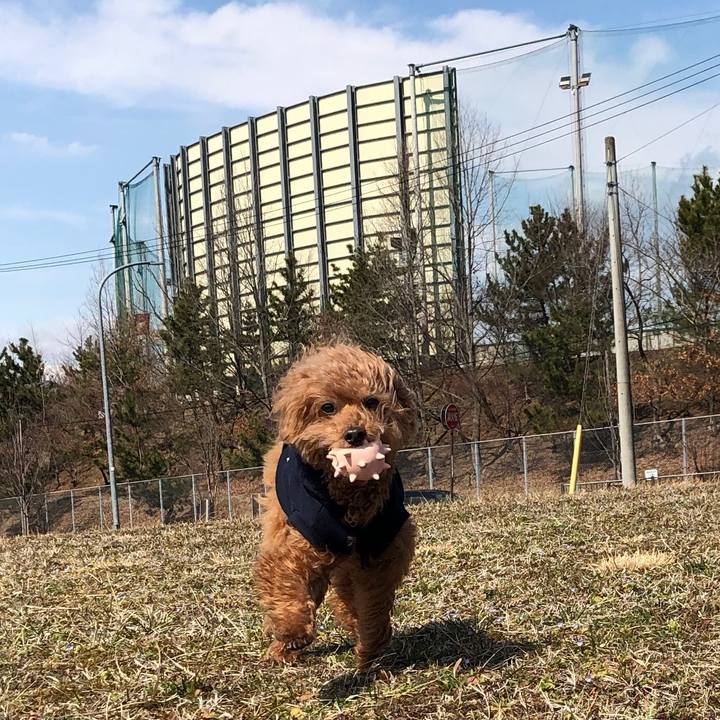 D28dbdf2 2bb1 4bfc 80f6 919cd5b21770 1552707245105