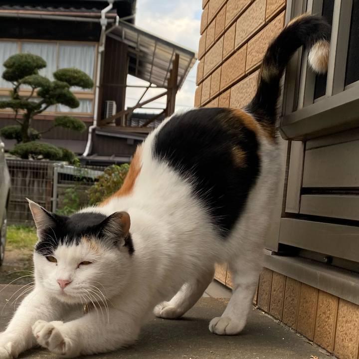 D28df7f9 a8af 4b44 a527 1ea4f77e5588 1637757481607