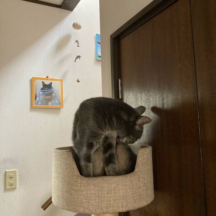 D28e1568 8d40 4421 bbf8 6e2f101b5362 1630198188984