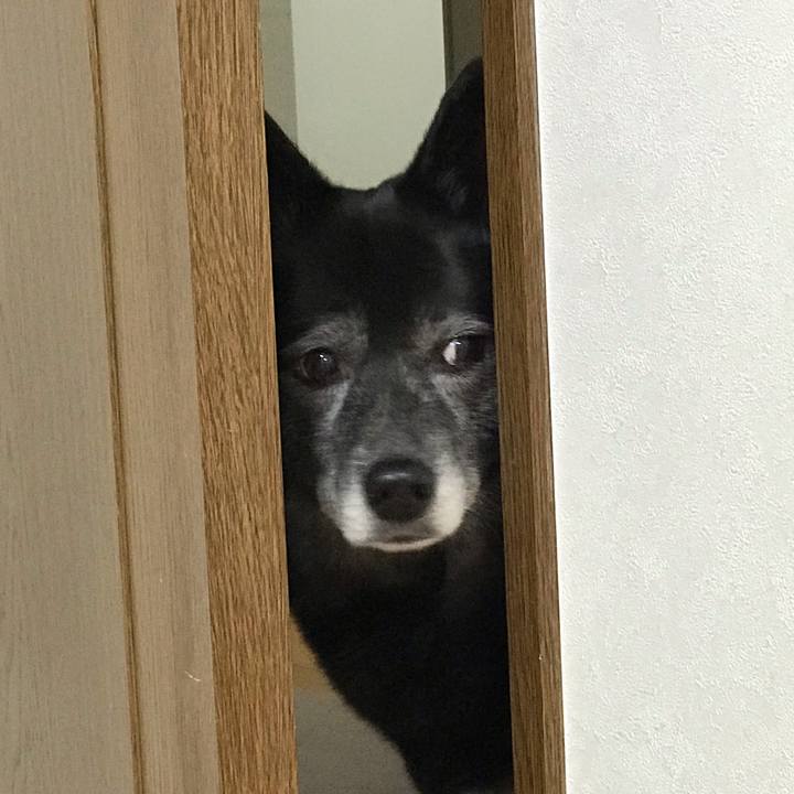 D28e36fd cede 4d9e b647 7f8b8d0f10b1 1555423337260