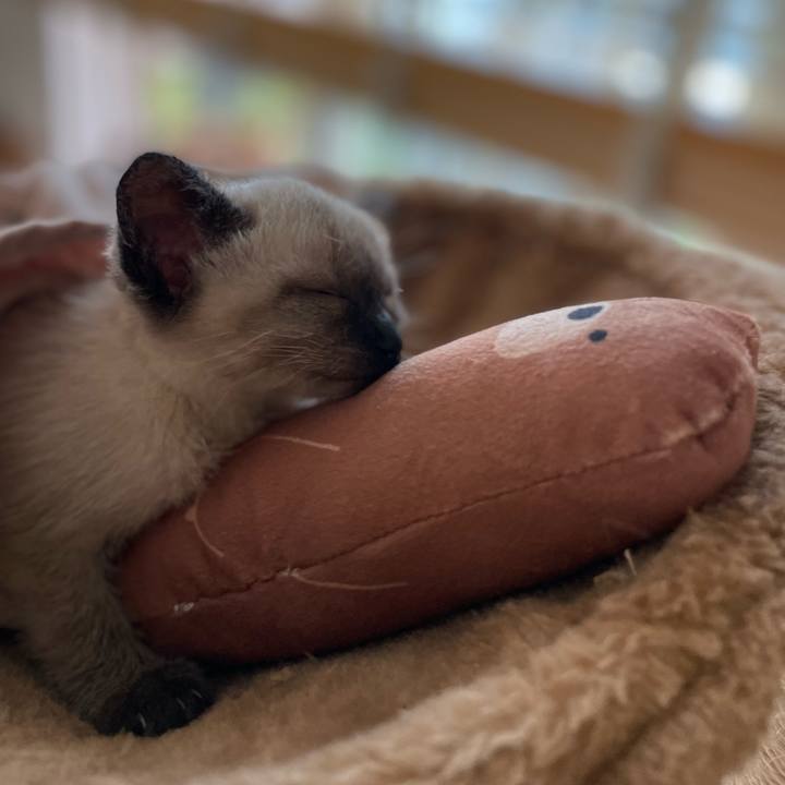 D28e4a02 880a 4387 b300 f6e9e18fe57f 1686865989818