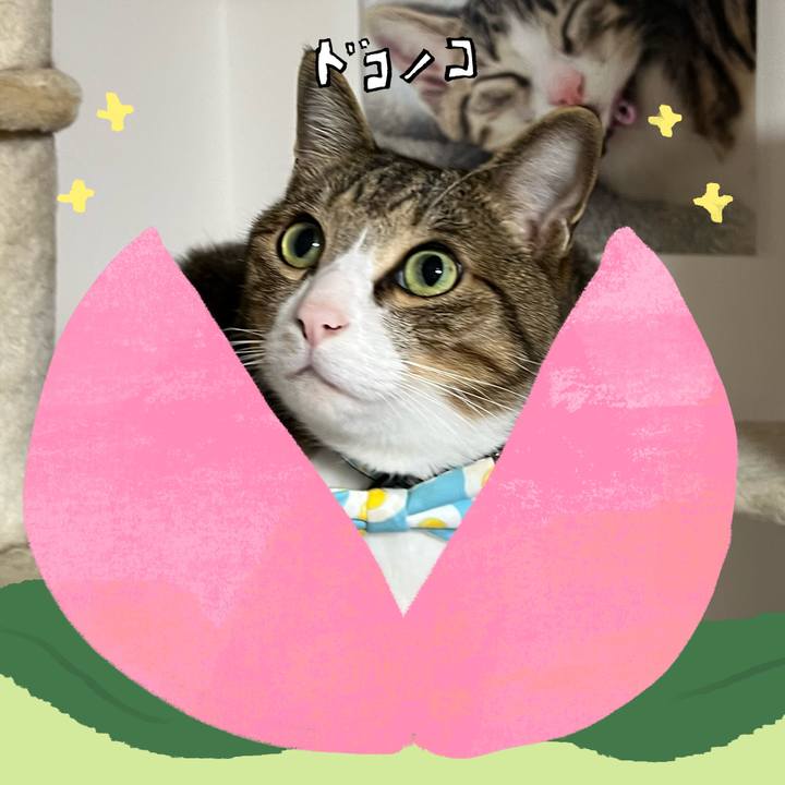 D28e5c81 1bda 45cc 9616 7f7caa655338 1772141363106