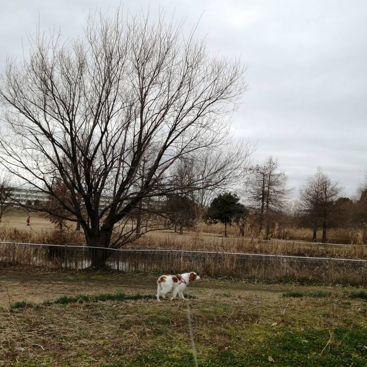 D28e62dc 6752 470f 93d5 3e92380c256f 1611649463055