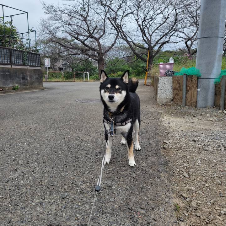 D28e6dcb a4aa 4fb8 9063 ea01e87578fe 1760398070091