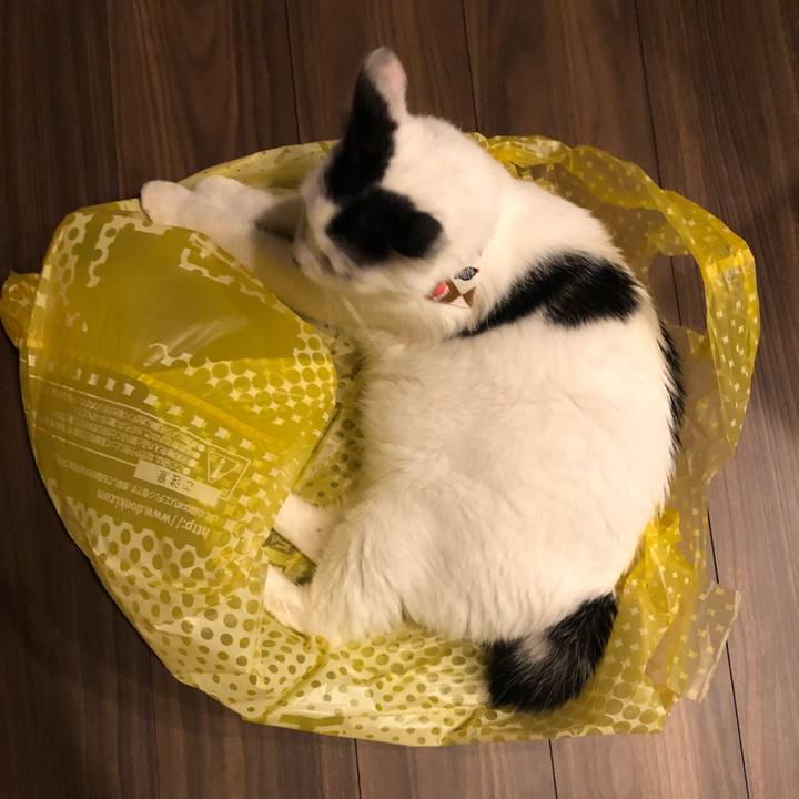 D28e73e4 0b8c 458d 84bf 3619b8a50c9c 1538821978397