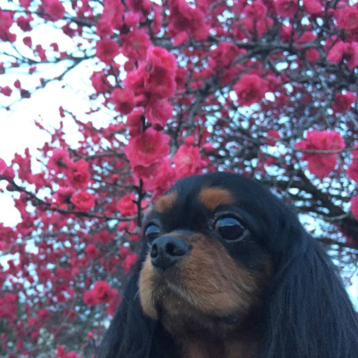 D28e9d24 1e9c 42d5 b199 4f585a7f09aa 1525322024873