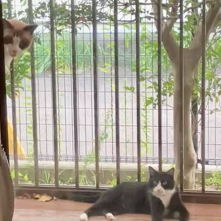 D28ecb70 2f2a 475b a6b0 bbc1d8ad908b 1728118781873