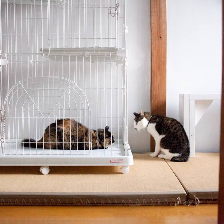 D28eecee 7271 46cb a10c 6c646772166d 1572767958229