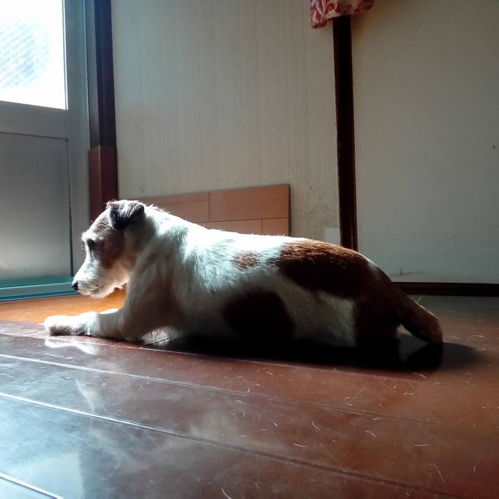 D28ef3e2 4f17 42aa bb1e fe64615dcb56 1575979307877