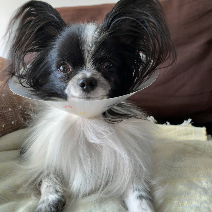 D28ef5f4 a300 4e24 b460 f0fe7f64fd6b 1541918307548