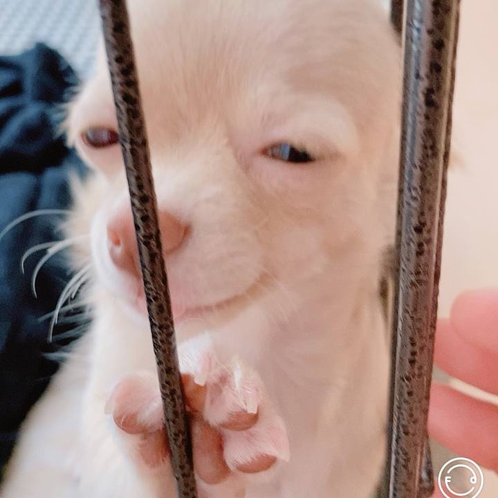 D28f30b9 7343 4490 8db8 d647a0791c71 1593039523118