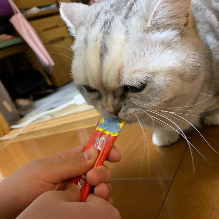 D28f3248 8f89 4fc7 8463 e11d23fb5592 1710668939669