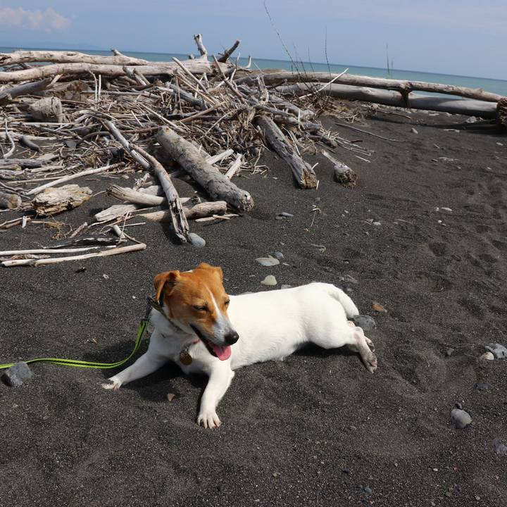 D28fbb2e 53ec 4125 86f3 f0662cb194dd 1557040675541