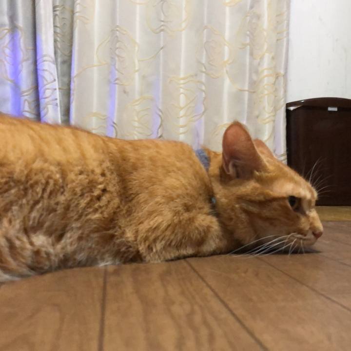 D28ff092 4d3e 4800 a1d1 ec4e23cd8f67 1601437202097