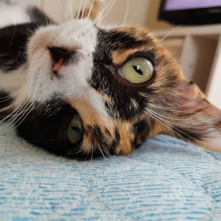 D2908c3a cc07 40eb ae02 d21e77cd2534 1624782276396