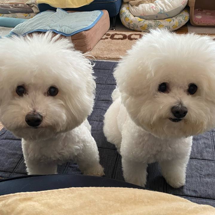 D290a18b 6138 479d bc03 7207450fa6a1 1652670434641