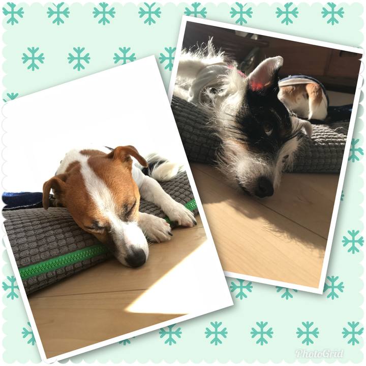 D290aa01 f9a3 498d 97f2 71adf847f666 1513225075892