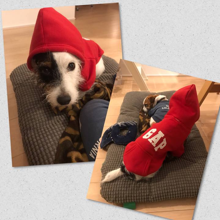 D290bf3f 31b2 4442 bb68 25f08f5be112 1542633715669