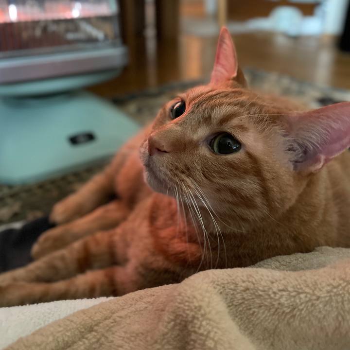 D290c13d 7ef2 419a b0f6 0b89c84d5ff3 1770941342971