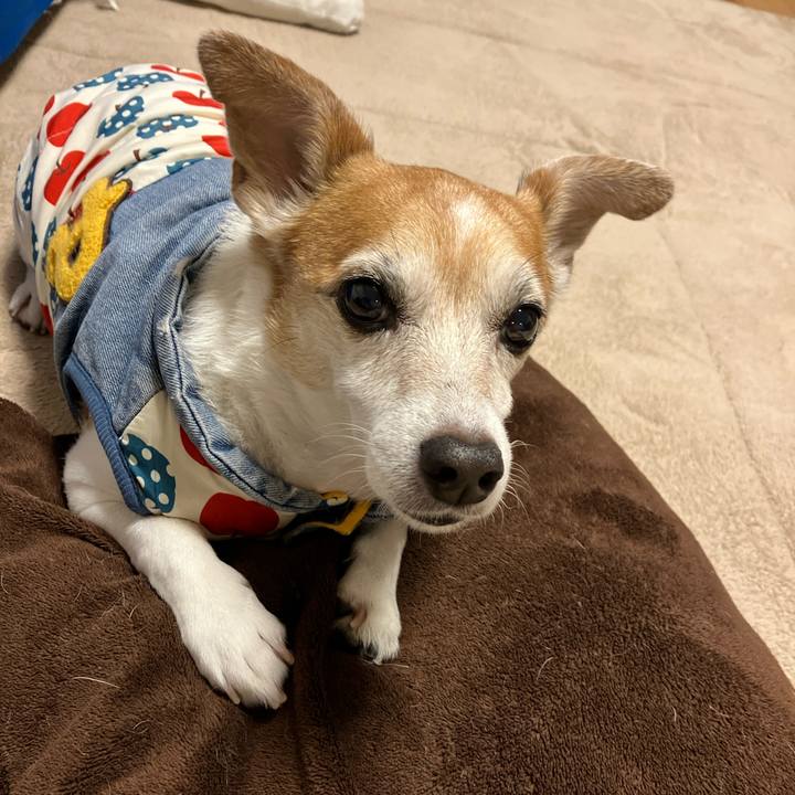 D29112a2 b15c 4df9 85f7 108035eb7378 1772963027300