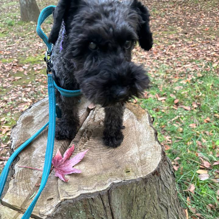 D2914006 bc86 460d 8a83 f47a6f178ba9 1699094988357