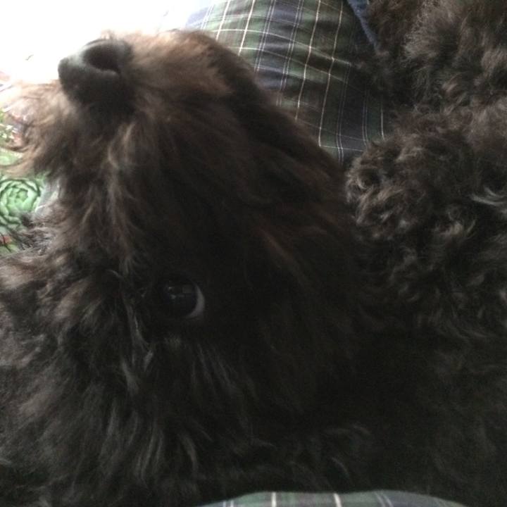 D29149b7 25ff 4a7c a423 7ca957c15bb5 1507790303905