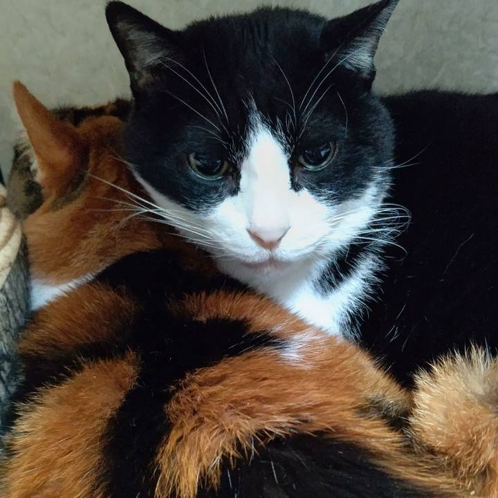 D2914d8b df69 4a69 b1ac ec388fa017d6 1608068114945