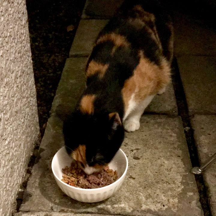 D2917173 961d 4c28 b3b4 276d7beae642 1539704244903