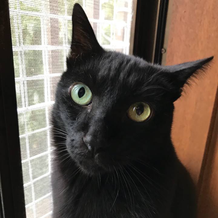 D29194d8 499d 4da3 b045 42cbc811dba7 1508979671795