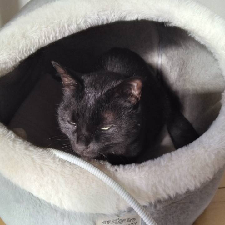 D291bb83 5c5a 42bc b228 e486b685a768 1765787272751